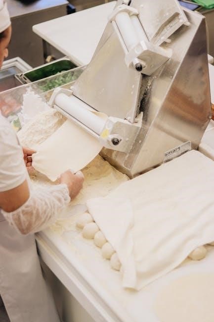 magic chef dehydrator manual